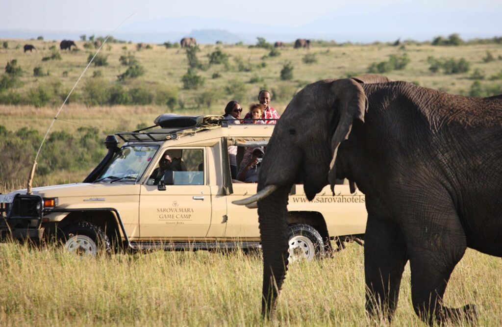 Sarova Mara Game camp