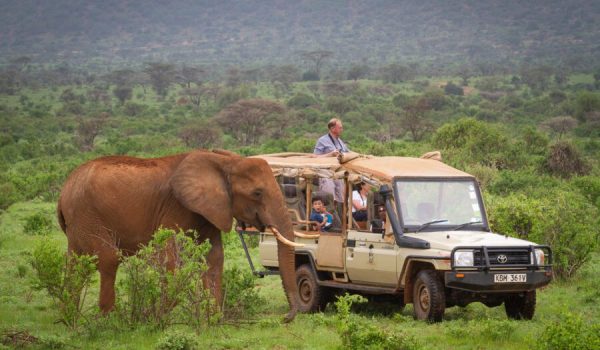 Elephant Bedroom Camp Samburu 45