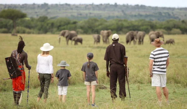 Kenya Family safari tours Kichwa Tembo Masai Mara