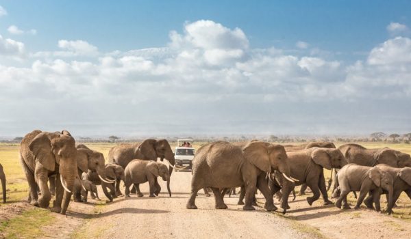 Kenya Family safaris Oltukai Lodge Amboseli National Park