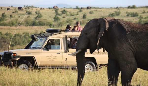 Sarova Mara Game camp