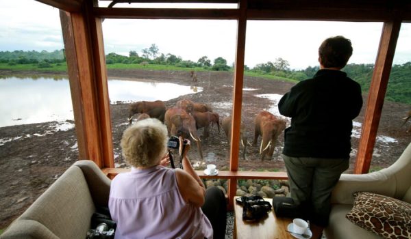 The Ark Lodge the best safari lodges in Kenya scaled