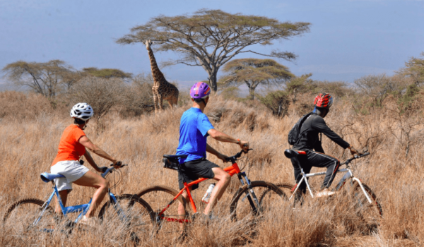 satao elerai – mountain biking safari