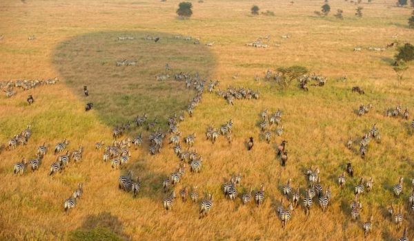 serengetiballoonsafaris 39 1024x682 1